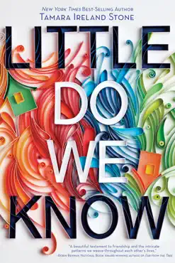 little do we know book cover image