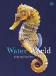 Water World sinopsis y comentarios
