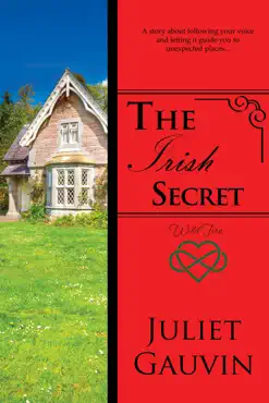the irish secret: wild fire book cover image