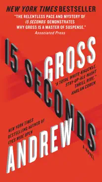 15 seconds book cover image