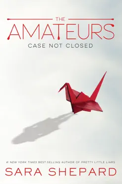 the amateurs book cover image
