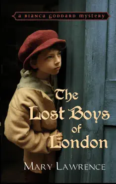 the lost boys of london book cover image