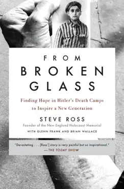 from broken glass book cover image