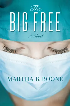 the big free book cover image