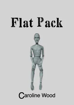 flat pack book cover image