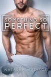 Something So Perfect (Something So Series 2) book summary, reviews and downlod