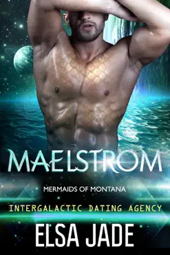 maelstrom book cover image