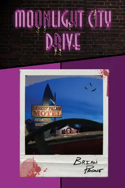 moonlight city drive book cover image