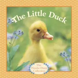 the little duck imagen de la portada del libro