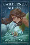 A Wilderness of Glass synopsis, comments