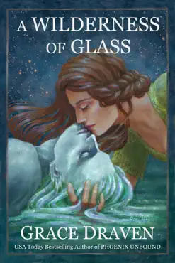 a wilderness of glass book cover image