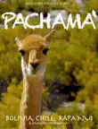 Pachama synopsis, comments