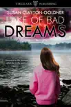 Lake of Bad Dreams synopsis, comments