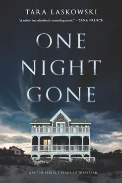 one night gone book cover image