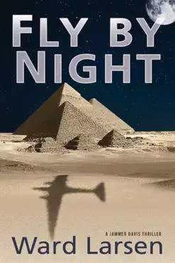fly by night book cover image