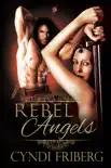 Rebel Angels Complete Series synopsis, comments