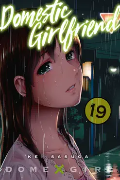 domestic girlfriend volume 19 book cover image