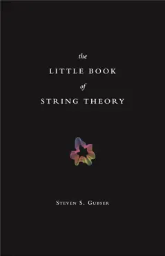 the little book of string theory book cover image