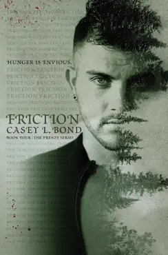 friction book cover image