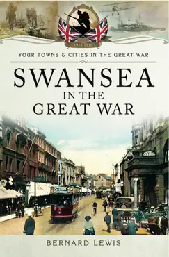 swansea in the great war book cover image
