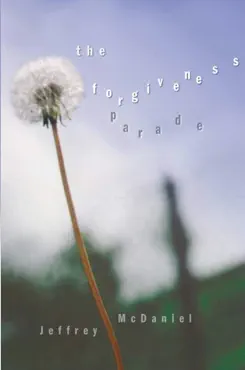 forgiveness parade book cover image