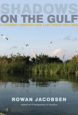 shadows on the gulf book cover image