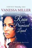 Rain in the Promised Land synopsis, comments