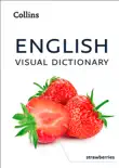 English Visual Dictionary sinopsis y comentarios