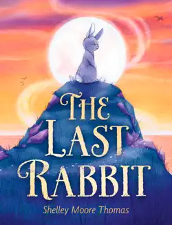 the last rabbit book cover image
