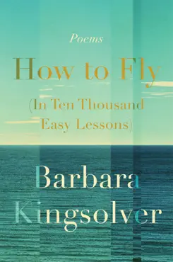 how to fly (in ten thousand easy lessons) book cover image