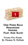 One Poem Bale regarding Horses Fast and Slow synopsis, comments