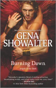 burning dawn book cover image