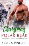 Christmas Polar Bear synopsis, comments
