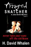 Angel Snatcher synopsis, comments