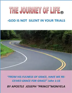 the journey of life- god is not silent in your trials imagen de la portada del libro