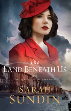 land beneath us book cover image