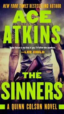 the sinners book cover image