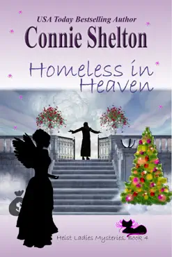 homeless in heaven book cover image