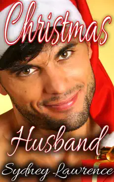 christmas husband book cover image