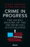Crime in Progress sinopsis y comentarios