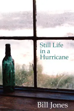 stil life in a hurricane book cover image