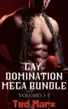 Gay Domination Mega Bundle: Volumes 1-3 sinopsis y comentarios
