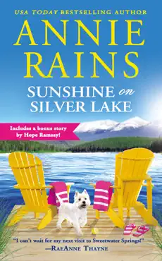 sunshine on silver lake book cover image
