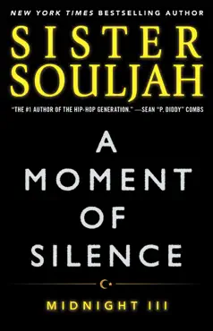 a moment of silence book cover image