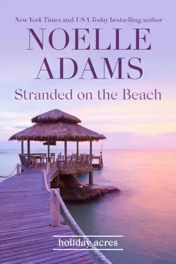 stranded on the beach book cover image