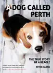 A Dog Called Perth synopsis, comments