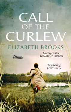 call of the curlew imagen de la portada del libro