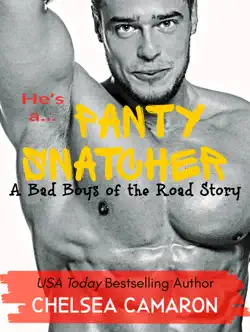 panty snatcher book cover image