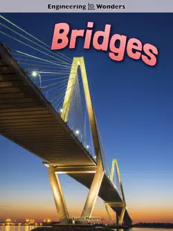 bridges book cover image