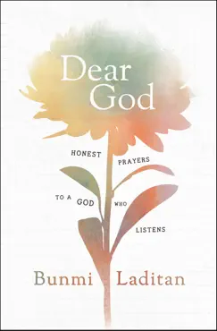 dear god book cover image